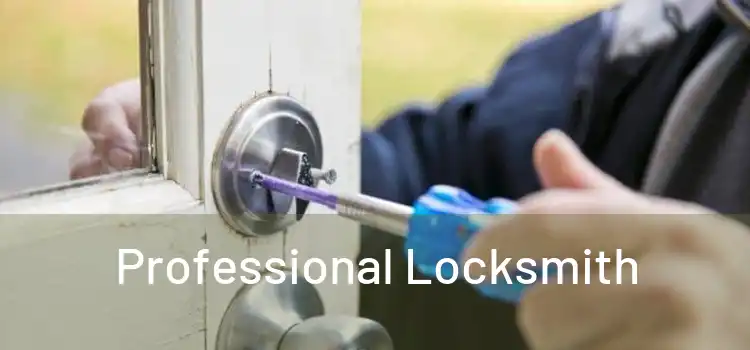  Professional Locksmith 